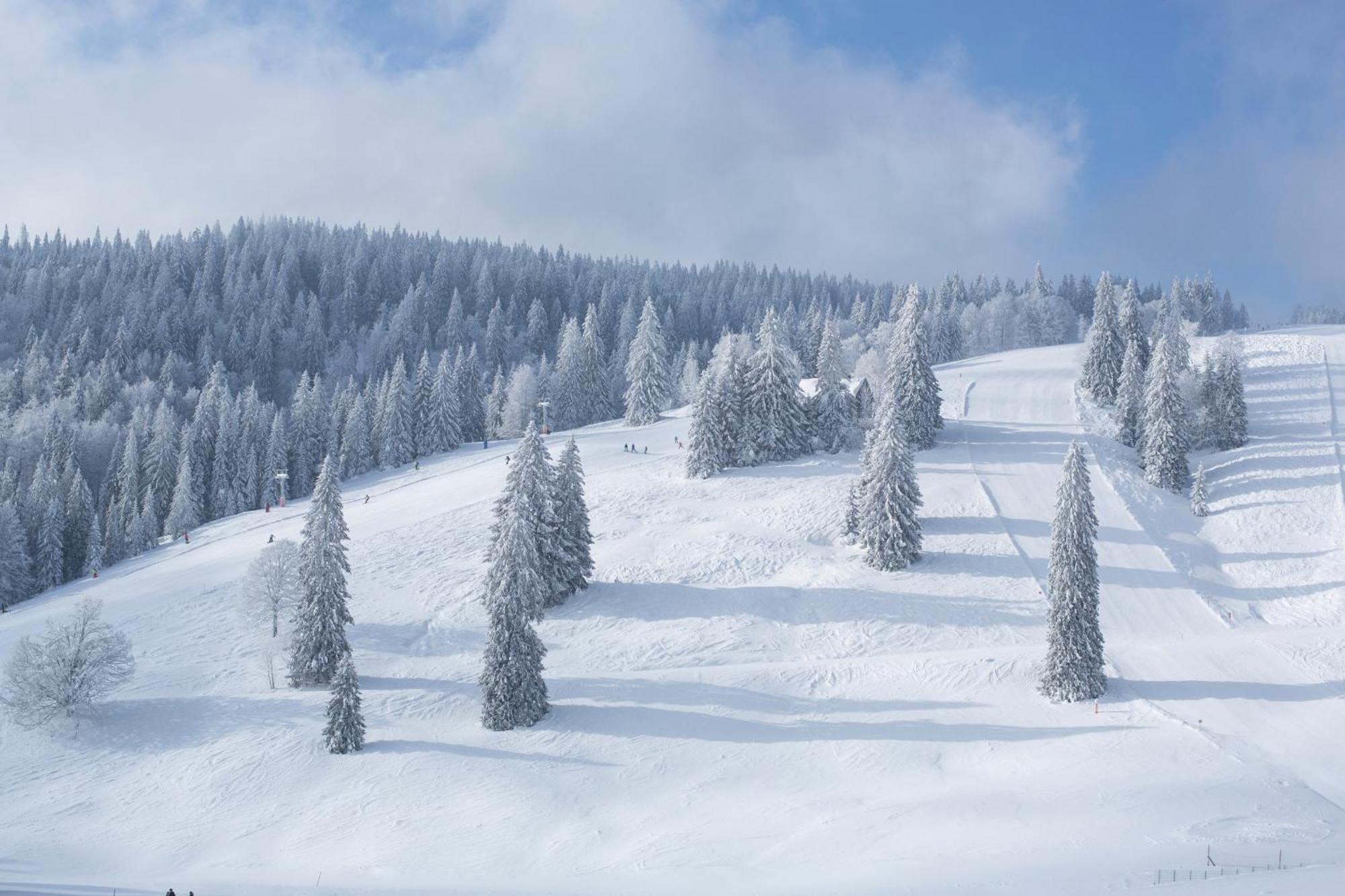 Ferienwohnung Schneelehner, 2-Schlafzimmer, Feldberg Feldberg  Exterior foto
